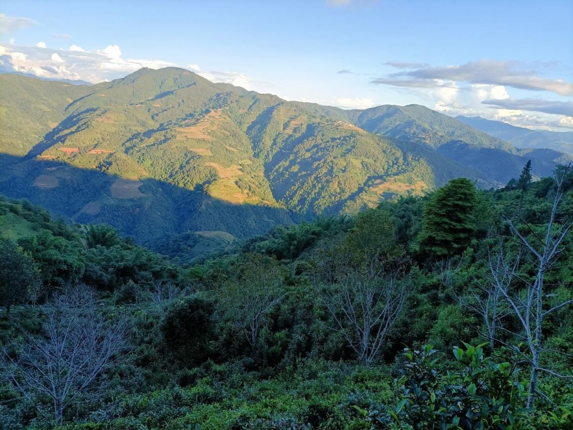 种植基地